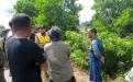 Survey lokasi Kepala Dinas PUPR bersama Staff Balai Provinsi.